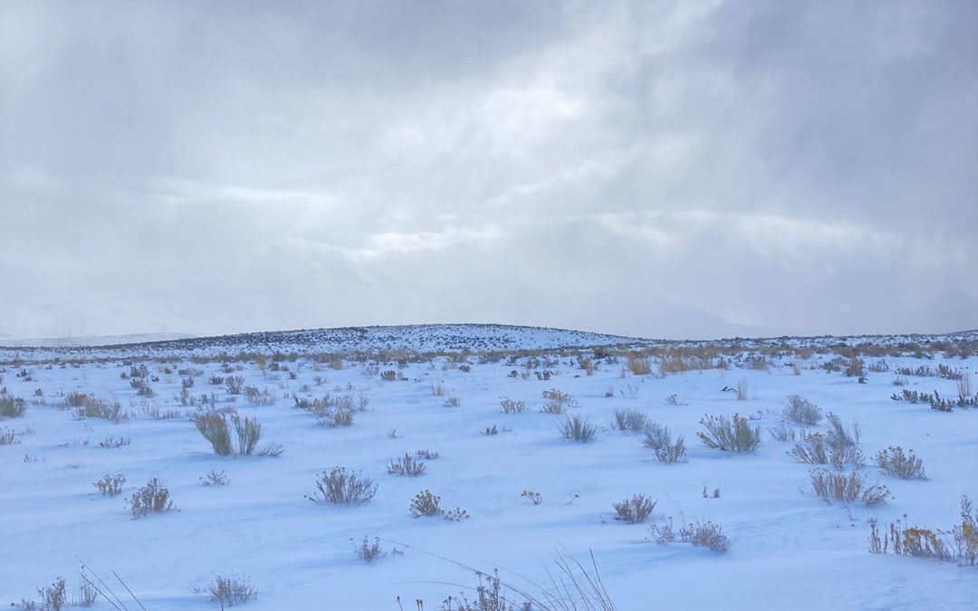 Snow at Thacker Pass