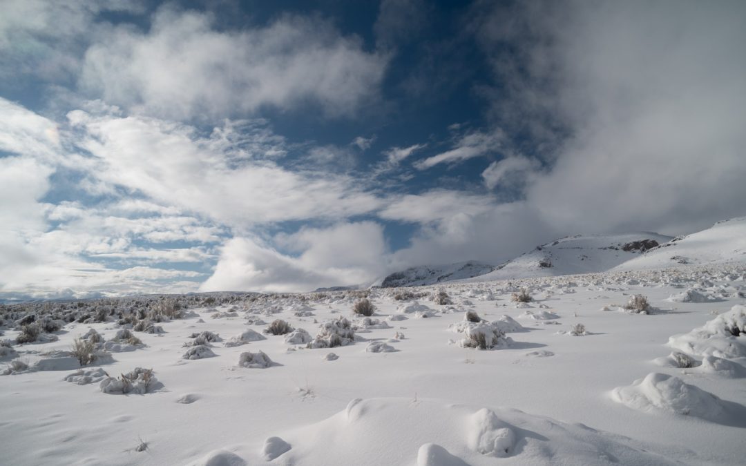 Snow At Thacker Pass