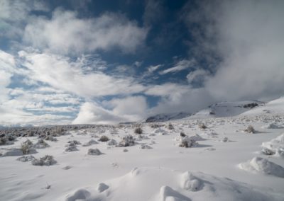 Snow At Thacker Pass