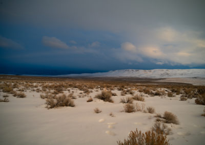 Snowy View