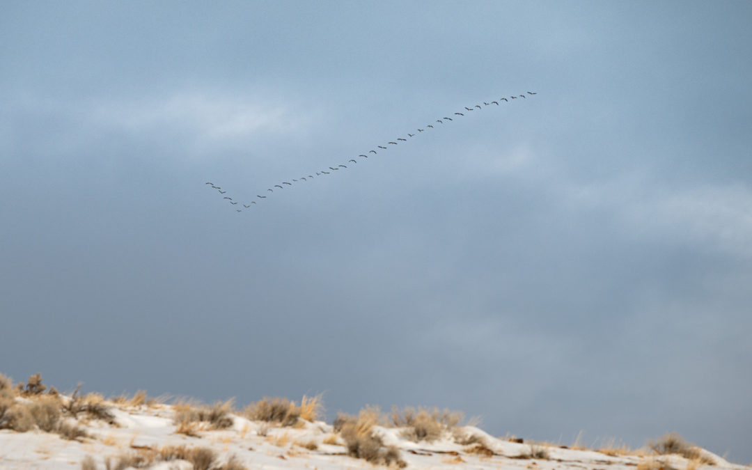 Inside the Lithium Mining War That Could Poison the Nevada Desert’s Water