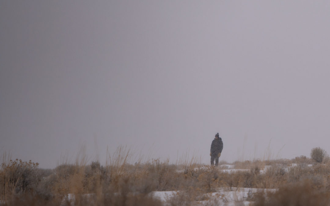 Will Walking
