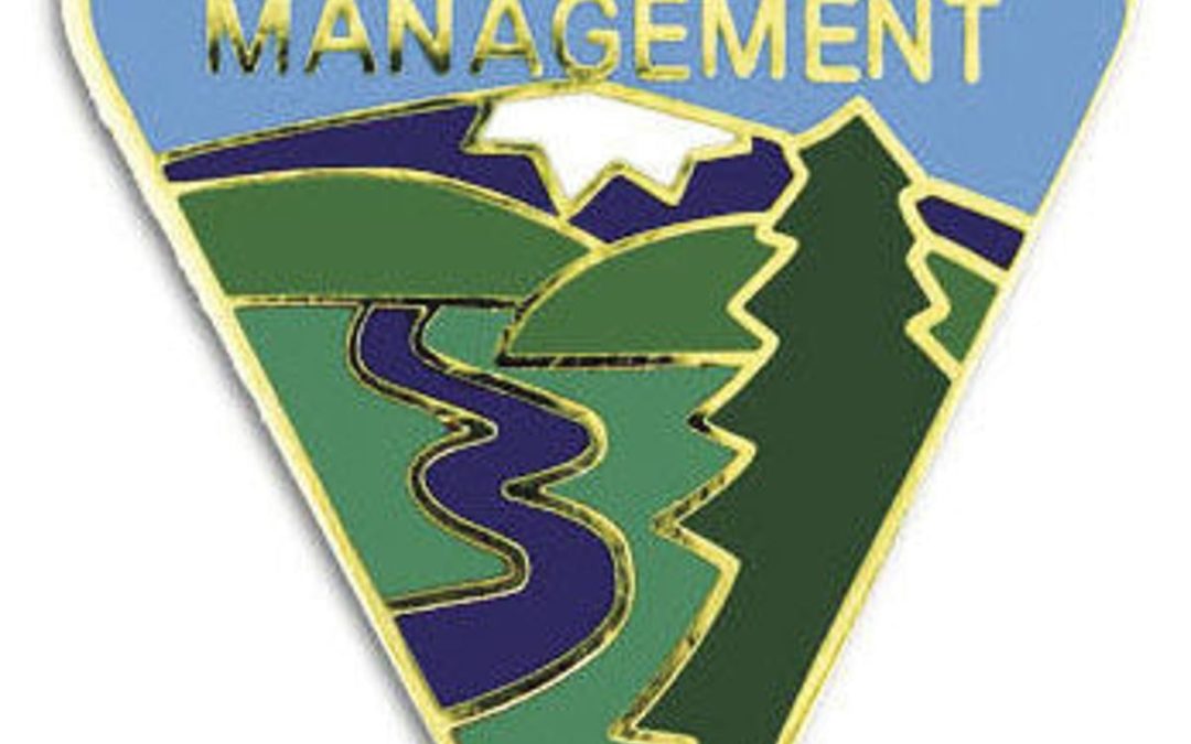 BLM logo