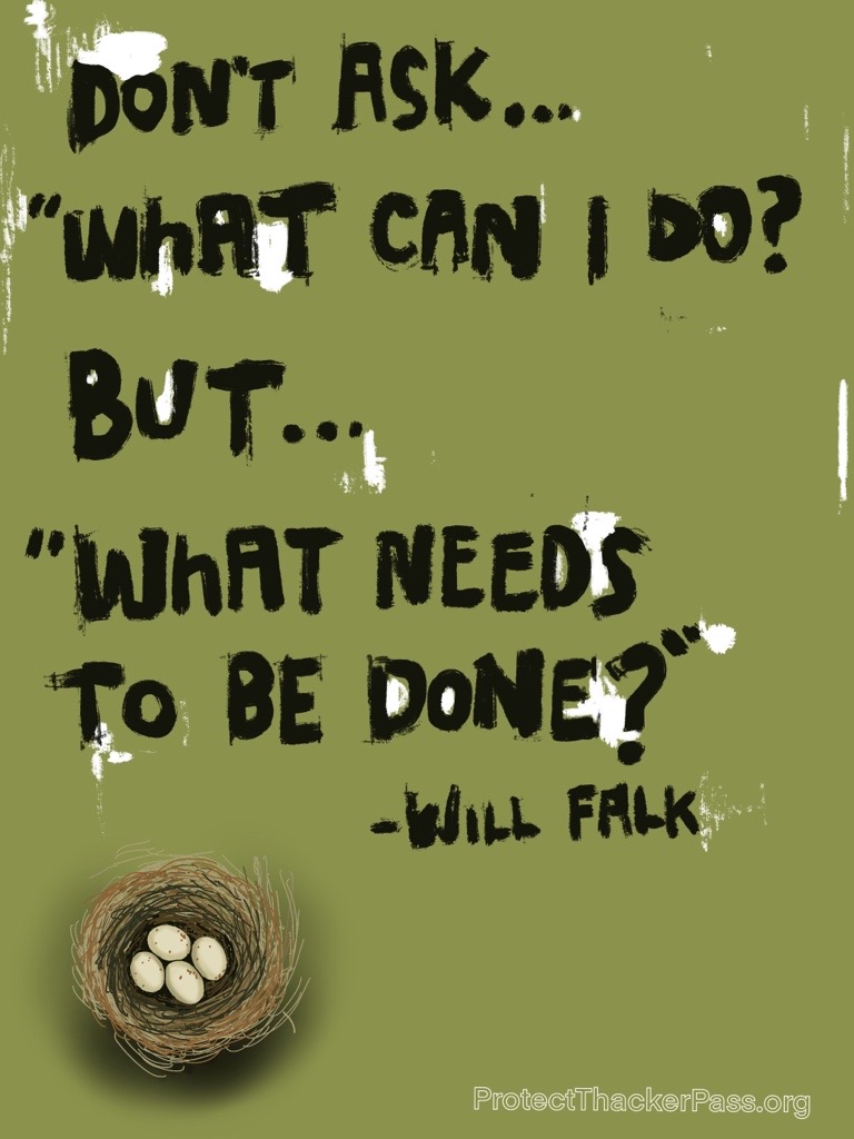What needs to be done Ask what needs to be done