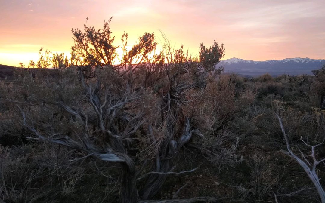 Sunset at Thacker Pass