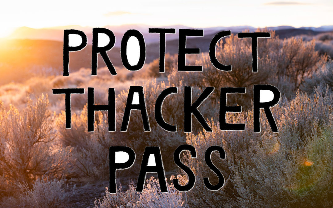 Protect Thacker Pass Sunrise Sagebrush