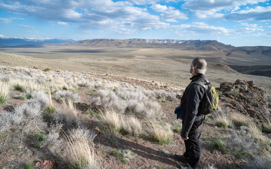 Notes from Peehee mu’huh (Thacker Pass) Part 3: Orovada At Ease???