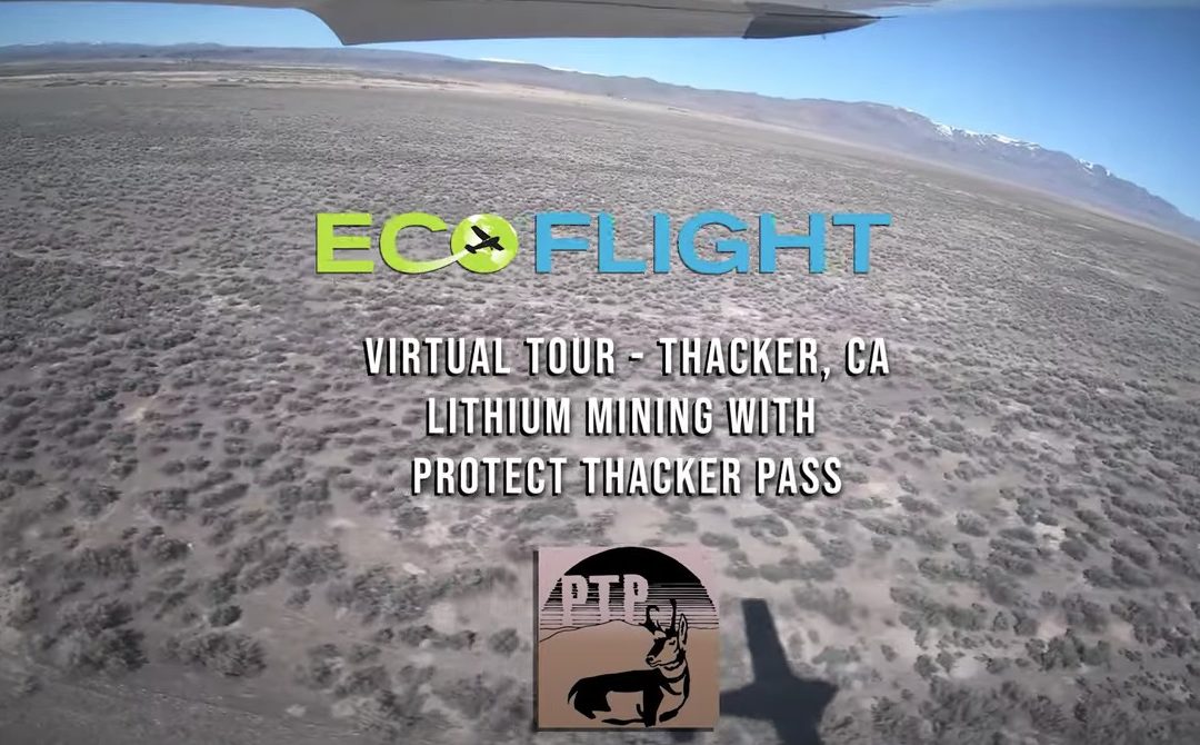 EcoFlight