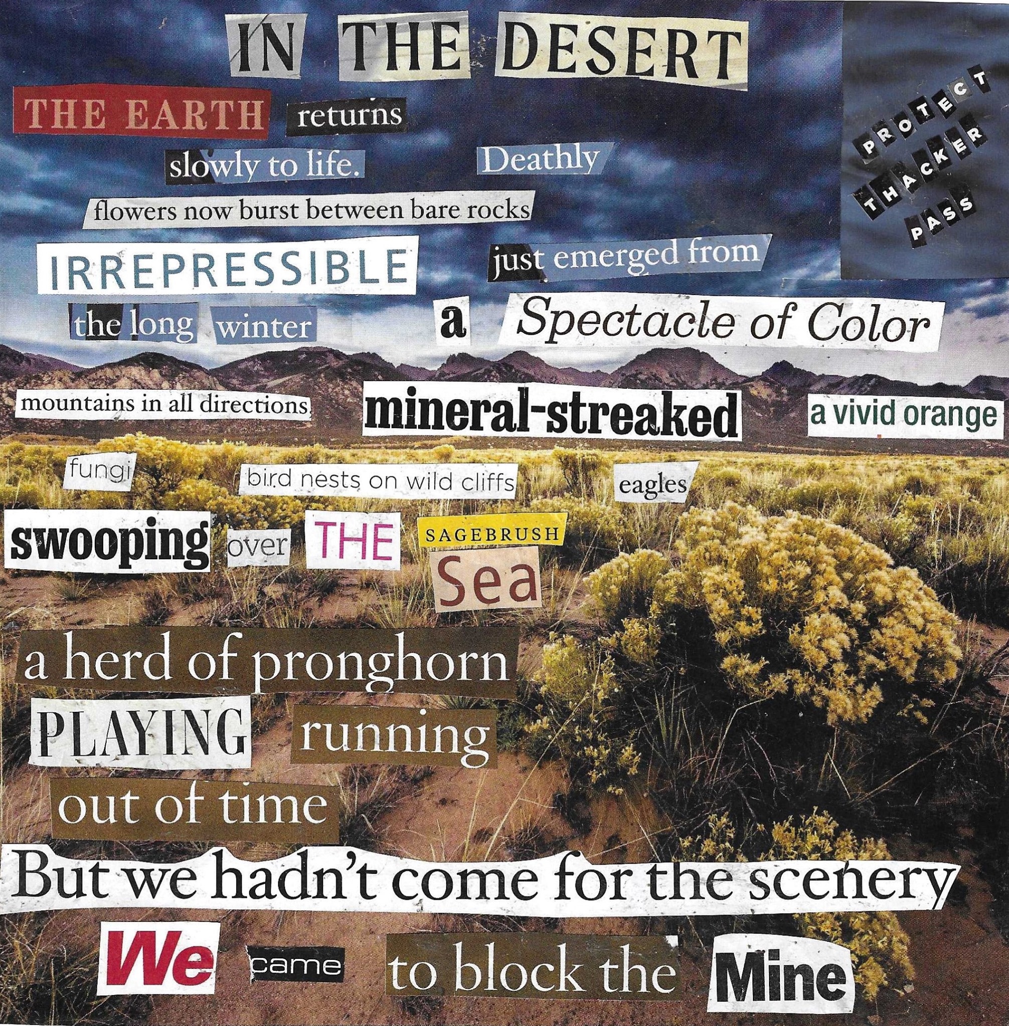 In The Desert In The Desert