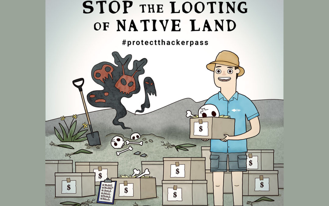 ACTION ALERT: Help us stop the looting of Native Land