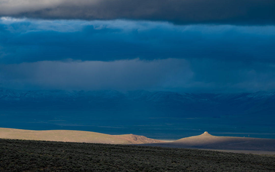 Incredible Light