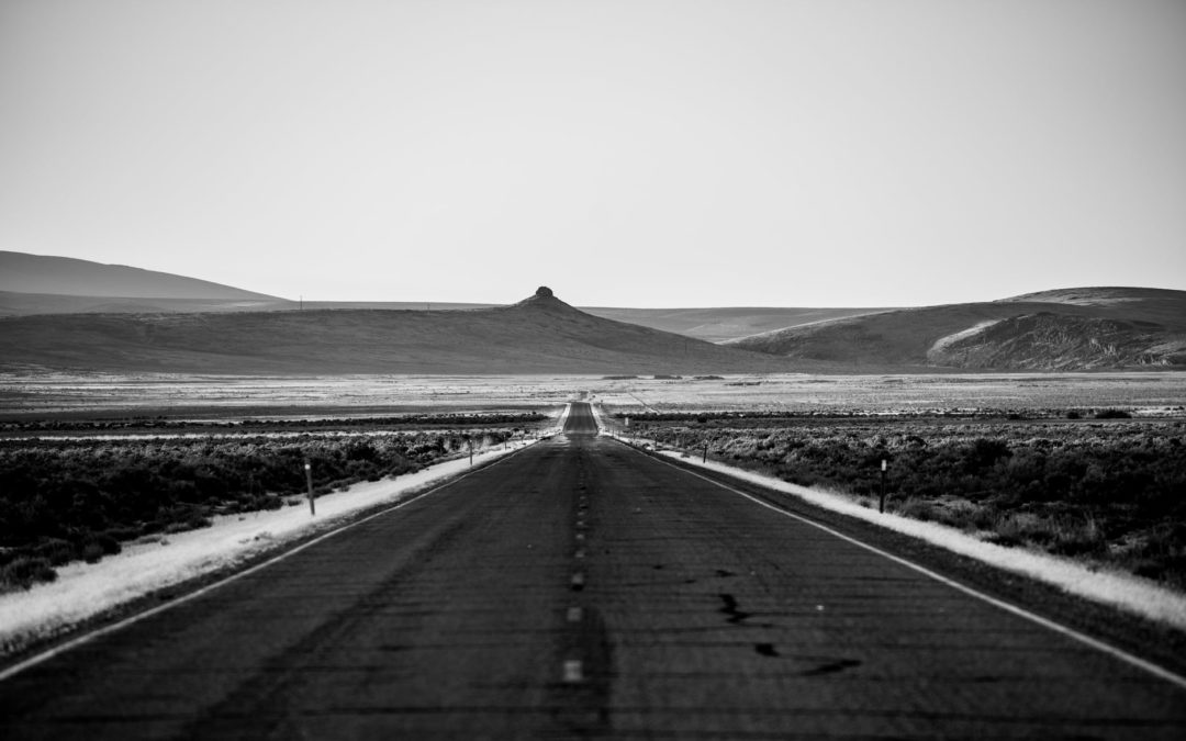 Road To Thacker Pass