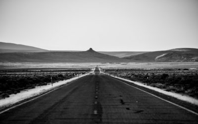 Cars require roads, and roads are destructive