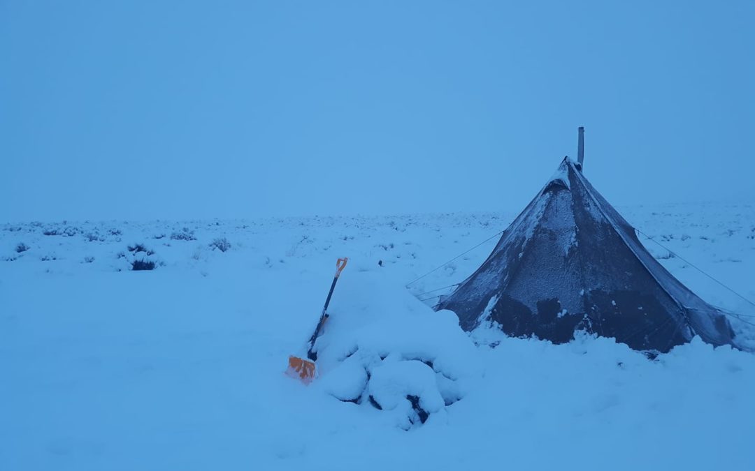 Tent in the snow