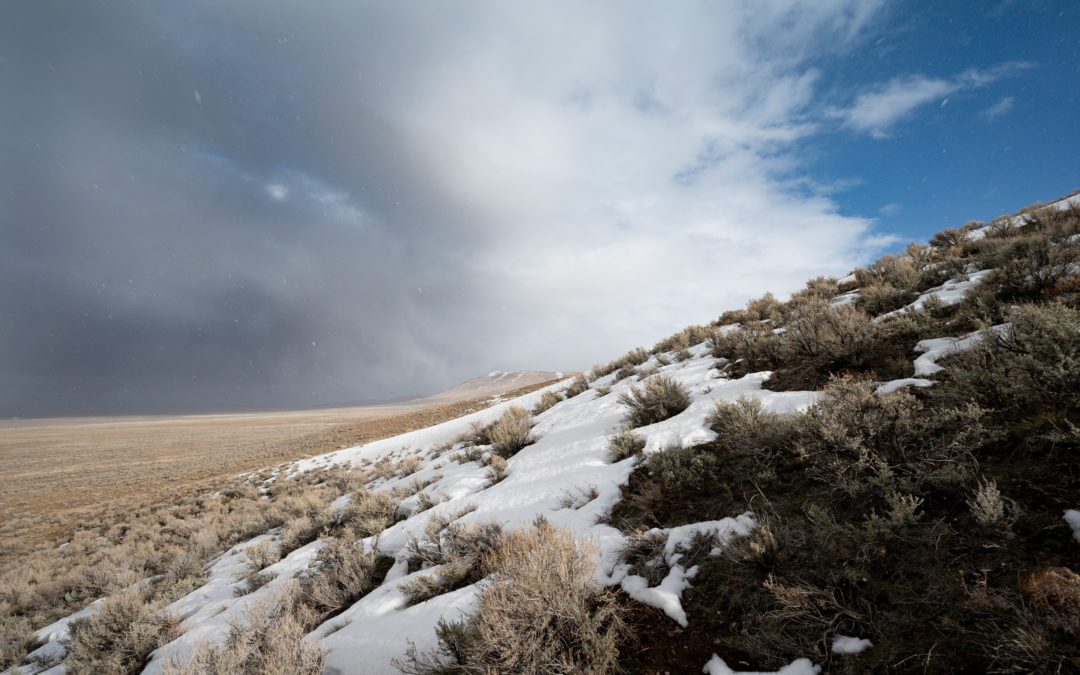 Thacker Pass, March 2022