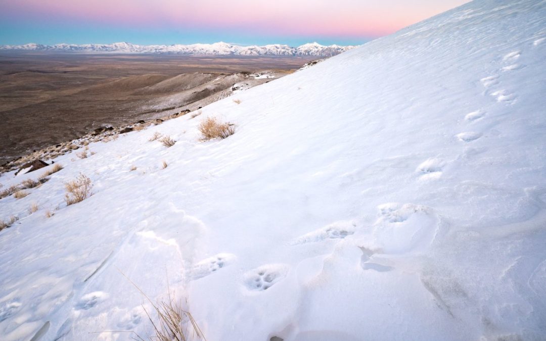 Snow and tracks at Thacker Pass