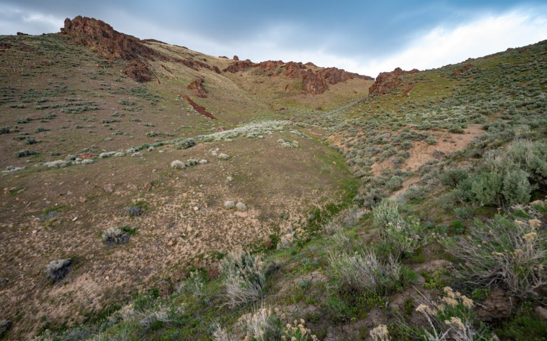 Land of green sage and blueberry skies