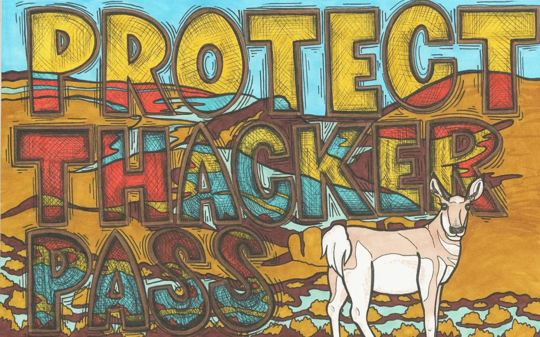 Protect Thacker Pass with Pronghorn