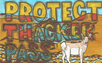 Two Years of Protect Thacker Pass