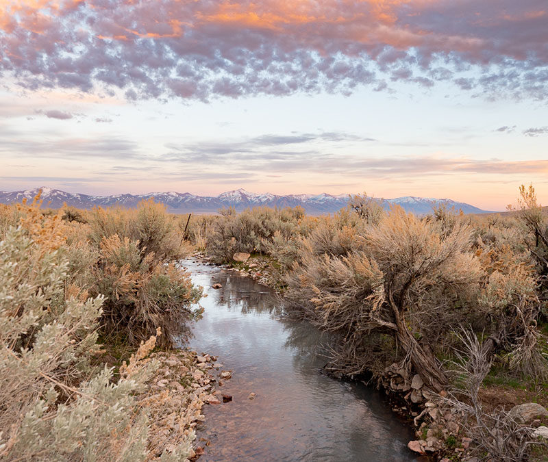 A quiet evening at Thacker Pass