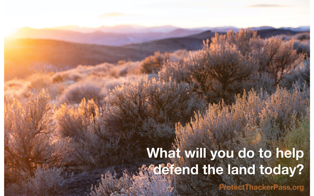 The law will not protect the land